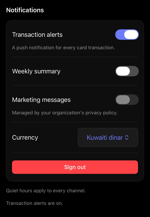settings-section preview, dark